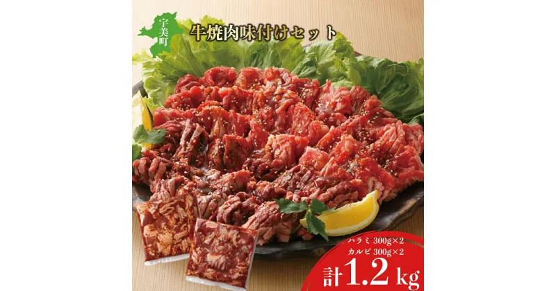 【ふるさと納税】肉 牛肉 味付き 焼肉 1.2kg ハラミ カルビ 中落 送料無料 bbq BBQ バーベキュー 小分け 詰め合わせ 1キロ以上 焼き肉 特製タレ 冷凍 赤身 お歳暮 牛 焼肉セット 焼肉用 中落カルビ ギフト EZ025