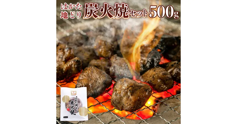 【ふるさと納税】はかた地どり炭火焼セット500g 100g×5p 送料無料 鶏肉 博多やきとり 国産 DX041