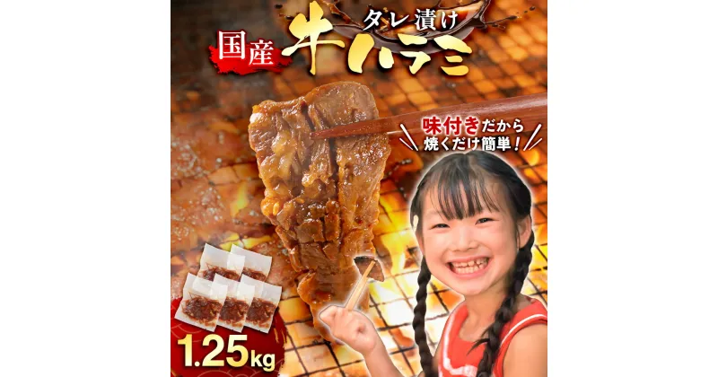 【ふるさと納税】 国産 特製たれ漬 ハラミ サガリ 1250g 送料無料 ハラミ肉 肉 牛肉 セット 味付け肉 真空パック 冷凍 焼き肉 焼肉 BBQ バーベキュー 小分け 詰め合わせ 牛 焼肉セット 焼肉用 JX003