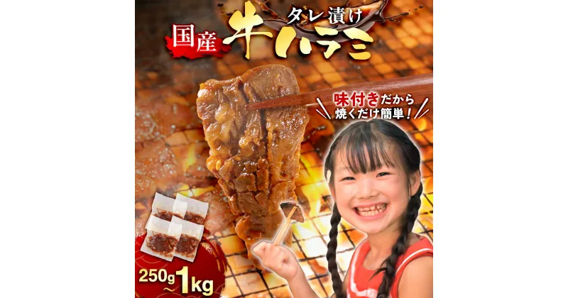 【ふるさと納税】 国産 特製たれ漬 ハラミ サガリ 250g～1000g 送料無料 ハラミ肉 肉 牛肉 セット 味付け肉 真空パック 冷凍 焼き肉 焼肉 BBQ バーベキュー 小分け 詰め合わせ 牛 焼肉セット 焼肉用 JX003-A