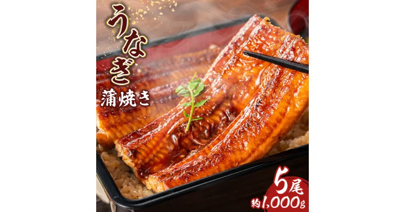 【ふるさと納税】うなぎ 蒲焼 5尾 約1000g 1kg タレ付 タレ ウナギ 鰻 うなぎ 蒲焼き かばやき かば焼き 冷凍 真空パック 丑の日 ひつまぶし うな重 うな丼 お茶漬け 食品 加工食品 魚介 水産加工品 国内製造 取り寄せ お取り寄せグルメ グルメ 送料無料 RZ003