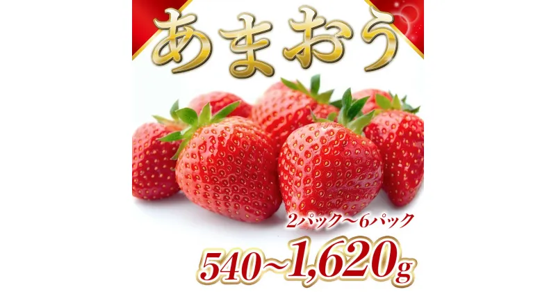 【ふるさと納税】福岡県産 あまおう 540g 1080g 1620g 送料無料 訳あり 大粒 大きい 不揃い 選べる 博多あまおう 2パック 4パック 6パック 果物 フルーツ いちご 苺 ストロベリー 福岡 季節限定 MZ048 MZ055 MZ056 MZ057 MZ058 MZ059先行予約 2024年12月～2025年3月発送