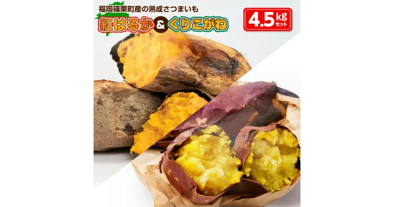 【ふるさと納税】篠栗町産の熟成さつまいも「紅はるか」「くりこがね」4.5kgセット さつまいも さつま芋 焼き芋 焼いも やき芋 やきいも 無添加 無着色 国産 食品 健康 食物繊維 便秘 腸活 くりこがね 紅はるか セット 2024年11月中旬から順次発送 送料無料 YX005