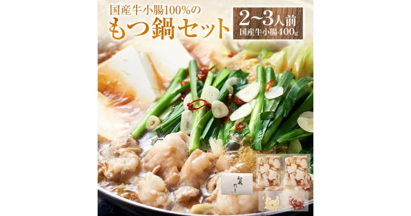 【ふるさと納税】 国産 牛 もつ鍋 セット 2～3人前 国産牛 小腸 カット 400g にんにく 唐辛子 和風だし 鍋 おかず 家飲み 宅飲み 惣菜 冷凍 化粧箱 送料無料