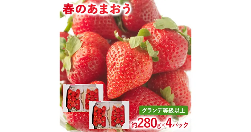 【ふるさと納税】【2025年先行予約】春のあまおう(G規格以上約280g x 4パック) お取り寄せグルメ お取り寄せ 福岡 お土産 九州 福岡土産 取り寄せ グルメ 福岡県