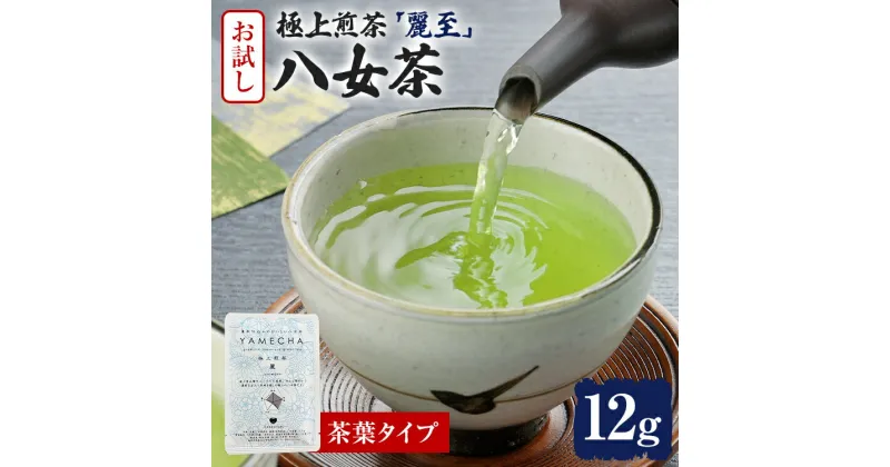 【ふるさと納税】お試し企画【八女茶】原田茶園 極上煎茶 麗至 12g（茶葉タイプ） お試し 八女 極上 煎茶 福岡 茶葉 お茶