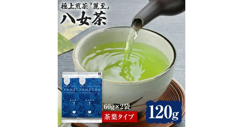 【ふるさと納税】【八女茶】原田茶園 極上煎茶 麗至 120 g（60g×2、茶葉タイプ）八女 極上 煎茶 福岡 茶葉 お茶