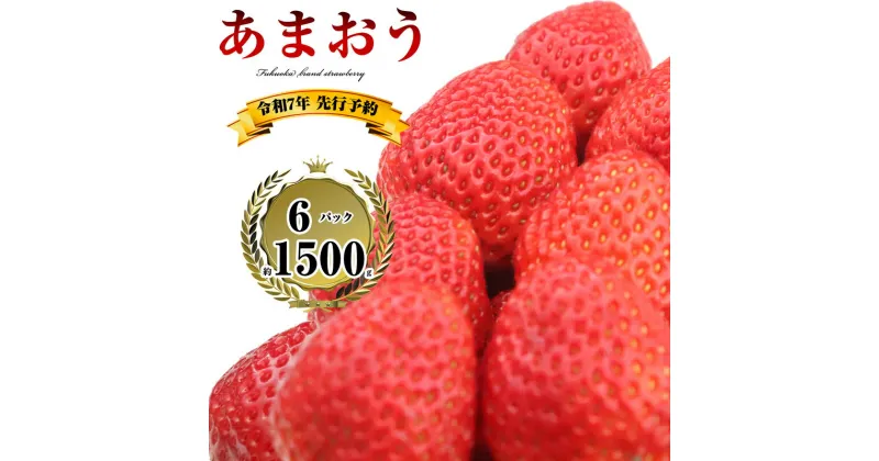 【ふるさと納税】 250g以上×6パック 【2025年(令和7年)先行予約】 福岡県産 いちご あまおう SF056-1【福岡県 須恵町】