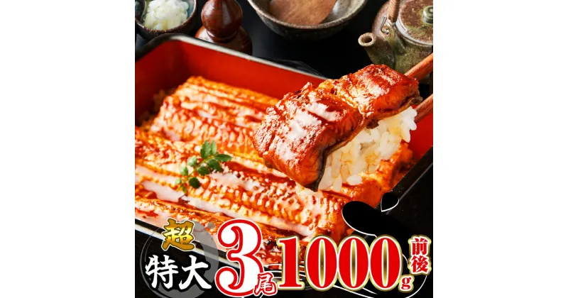 【ふるさと納税】3尾 1000g前後 うなぎ ふっくらジューシー 有頭うなぎ蒲焼 定期便 小分け 真空 特大 訳あり 鰻 SF012-0【 福岡県 須恵町 】