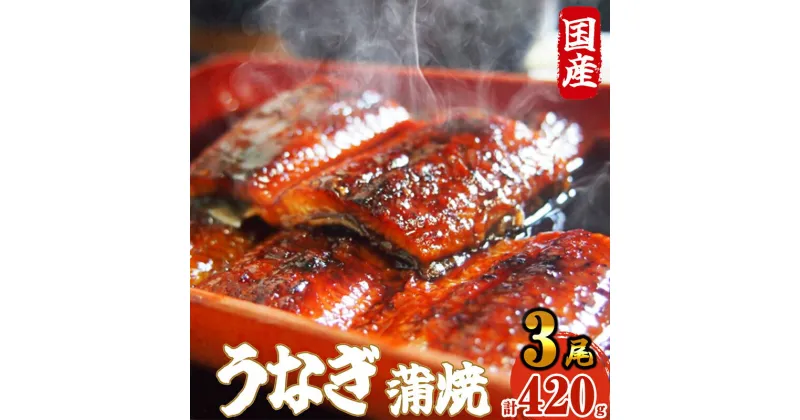 【ふるさと納税】《 国産 》 ふっくら 肉厚 うなぎ蒲焼 3尾 420g SF064-1【 福岡県 須恵町 】