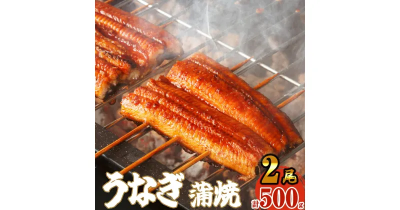 【ふるさと納税】ふっくら肉厚 うなぎ蒲焼 2尾 500g 小分け 真空 SF010-2【 福岡県 須恵町 】