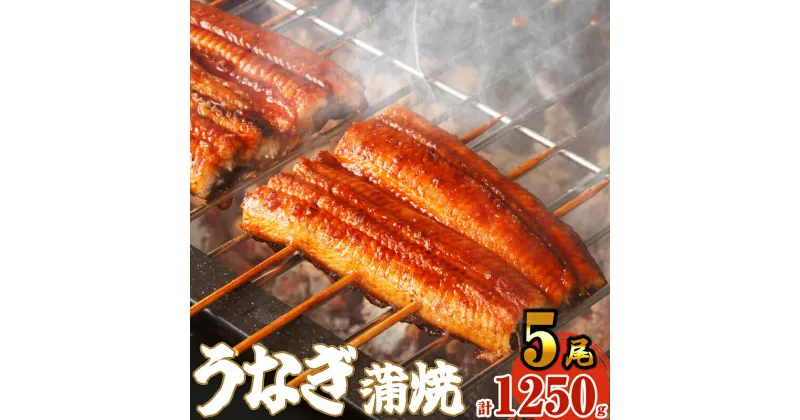 【ふるさと納税】ふっくら肉厚うなぎ蒲焼5尾 SF011-2【 福岡県 須恵町 】