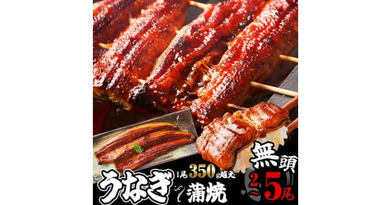 【ふるさと納税】 特大 350g ふっくらジューシー 無頭うなぎ蒲焼 1尾当たり約350g 定期便 小分け 真空 特大 訳あり 鰻 SF052-0【 福岡県 須恵町 】