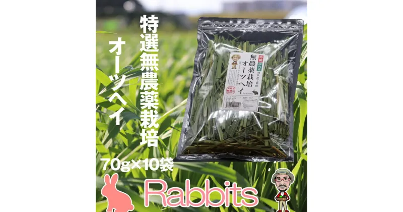 【ふるさと納税】［無農薬栽培・うさぎ用ペットフード］特選オーツヘイ 70g×10袋 RB003-1【福岡県 須恵町】