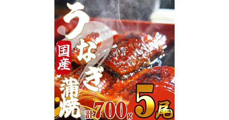 【ふるさと納税】《 国産 》 ふっくら 肉厚 うなぎ蒲焼 5尾 700g SF065-1【 福岡県 須恵町 】