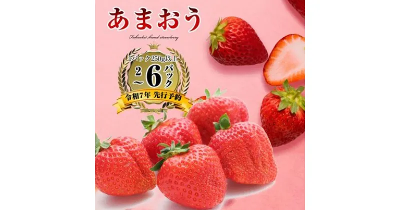 【ふるさと納税】【2025年 令和7年 先行予約】 福岡県産 あまおう 選べるパック数 6パック 4パック 2パック アフター保証 博多 ブランド SF053-0 【福岡県 須恵町】