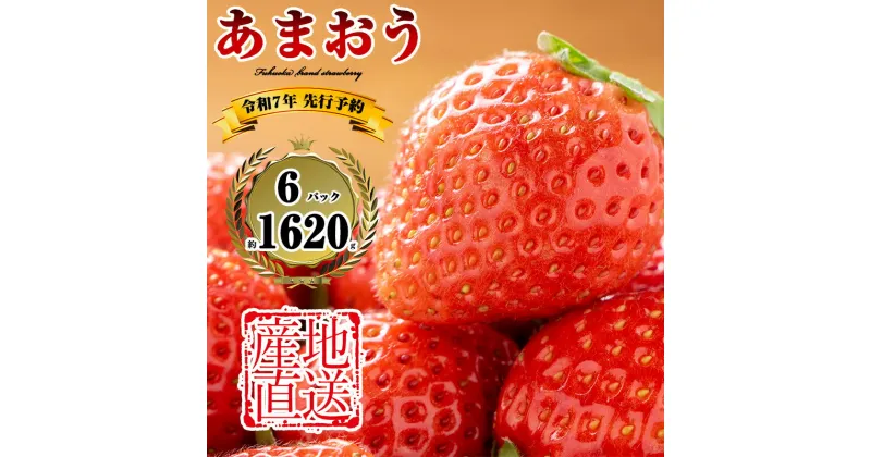 【ふるさと納税】【400件限定先行予約】2025年3月下旬～5月末までに発送 福岡県産 農家直送 あまおう 270g以上 6パック TY011-1【福岡県 須恵町】