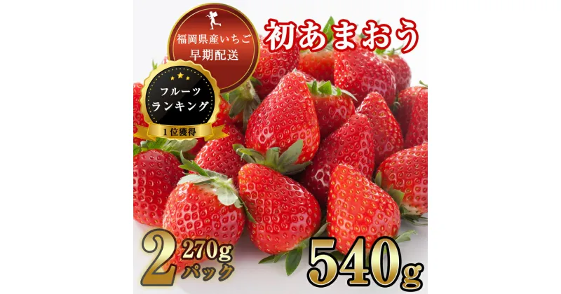 【ふるさと納税】【数量100件限定】福岡県産 初あまおう 540g (270g平パック×2パック) TY001-1【福岡県 須恵町】