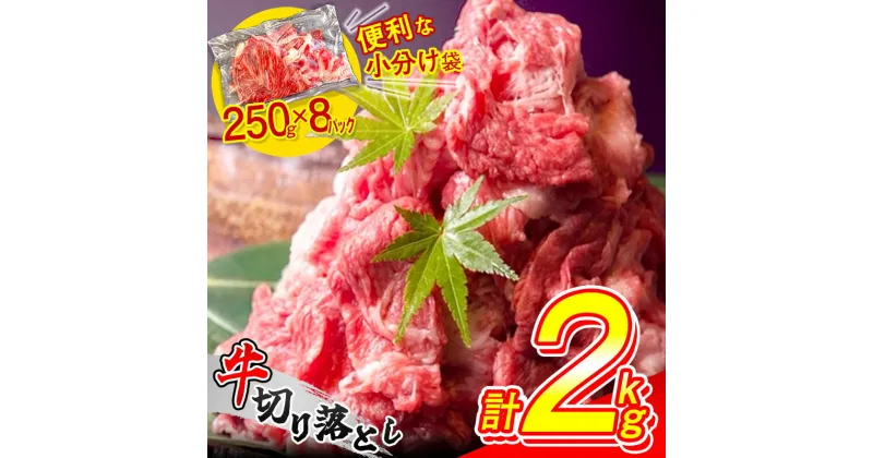 【ふるさと納税】便利な 小分け 牛肉 2kg 切り落とし (250g×8パック) 昆布出汁仕上げ 豪州産 国内加工 SF086-1 / 牛肉 牛丼 薄切り 牛 焼き肉 すき焼き 訳あり 赤身 冷凍 人気 博多 部位 食べ比べ 焼き肉 ブロック もも ロース バラ ヒレ 【 福岡県 須恵町 】