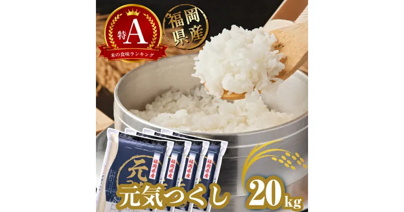 【ふるさと納税】【各月数量限定】 福岡県産 米「 元気つくし 」 20kg NP006-0 ～ 5kg 新米 白米 ごはん お米 小分け 選べる 令和5年 令和6年 2024 ブランド 食味 特A 数量限定 人気 単一原料米 銘柄米 配送月 発送月 訳あり コシヒカリ ～【福岡県 須恵町】