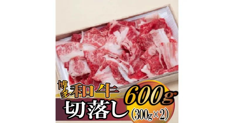 【ふるさと納税】博多和牛切落し600g（300g×2）.B276