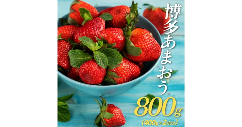 【ふるさと納税】予約受付※限定品※あまおう（400g×2パック）／2025年1月下旬から4月発送 いちご 苺 高級 フルーツ ．AB144