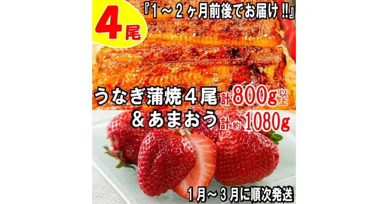 【ふるさと納税】うなぎの蒲焼4尾＆いちごの王様あまおう1080g【新宮町ミラクルセット】 鰻 たれ 山椒 苺 高級 フルーツ .BD018