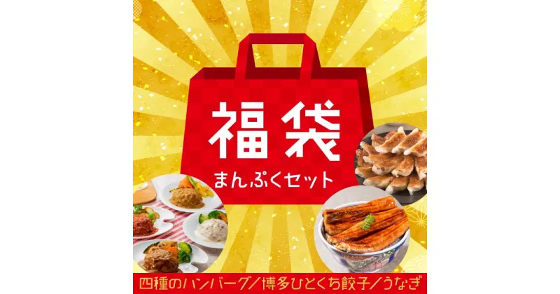 【ふるさと納税】新宮町福袋【まんぷくセット】 ハンバーグ4種 一口餃子 うなぎ 鰻 詰め合わせ .AB238