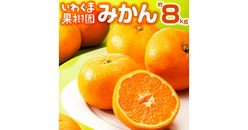 【ふるさと納税】いわくま果樹園から直送品のみかん（約8kg）／2024年9月下旬～11月発送予定★予約分★.AA078