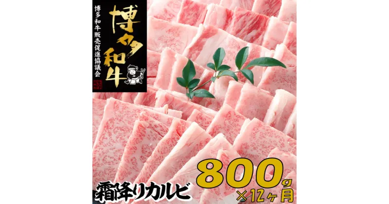 【ふるさと納税】【博多和牛】A4・A5等級こくうま霜降りカルビ焼肉800g×12か月定期便.K051