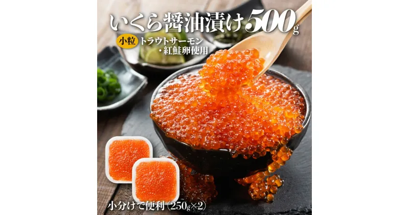 【ふるさと納税】いくら醤油漬（サーモントラウト・紅鮭）500g（250g×2パック）.A1469