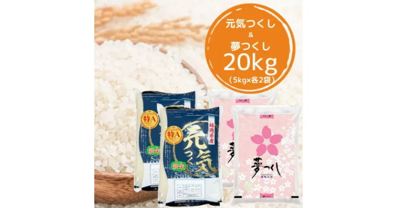 【ふるさと納税】福岡県産米食べ比べ〈白米〉セット「夢つくし」と「元気つくし」2種類　計20kg入【1102882】