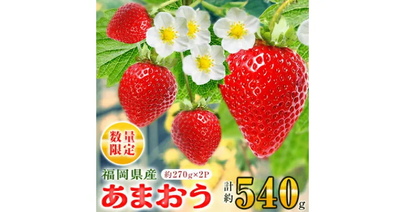 【ふるさと納税】【数量限定】福岡県産あまおう　約270g×2 パック【2月以降順次発送】_ いちご 苺 イチゴ フルーツ 果物 【配送不可地域：離島】【1279012】