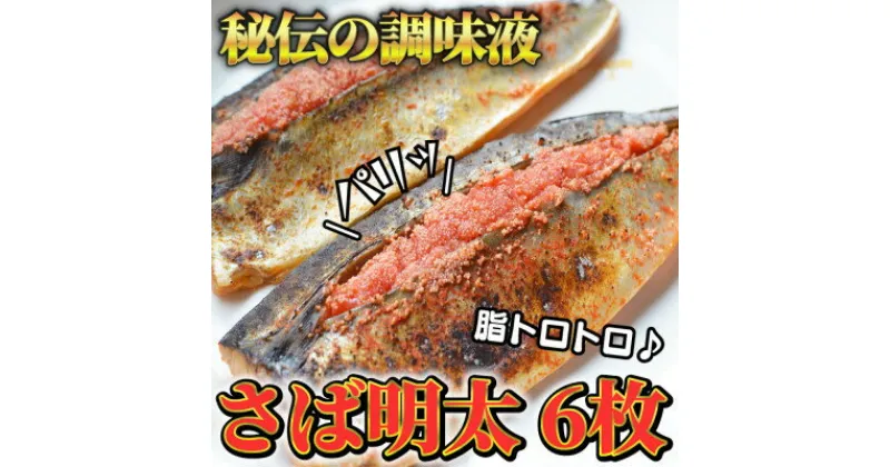 【ふるさと納税】さば明太　6枚　秘伝の辛子明太子液たれ仕込み　福岡県の魚市場仲買が選ぶ珍味【配送不可地域：離島】【1284255】