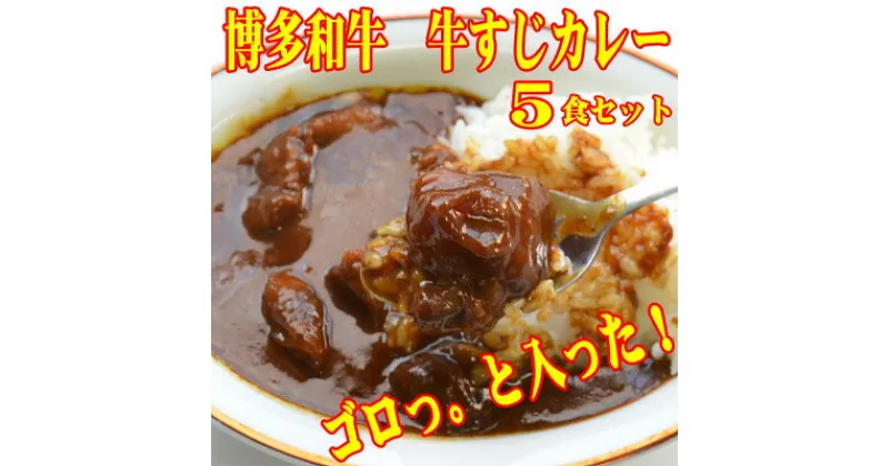 【ふるさと納税】博多和牛　牛すじカレー5食セット　じっくり煮込んだバリうま!ゴロッと入ったコラーゲン♪(芦屋町)【1462463】