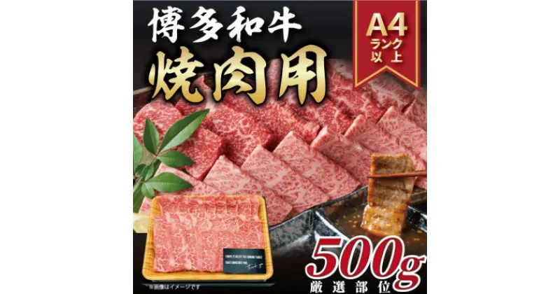 【ふるさと納税】【A4～A5】博多和牛焼肉用　500g(芦屋町)【配送不可地域：離島】【1170445】