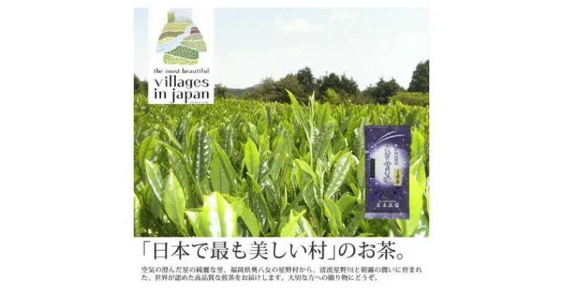 【ふるさと納税】奥八女星野村 深蒸し高級煎茶(深蒸し茶)100g×1袋(水巻町)【1445314】