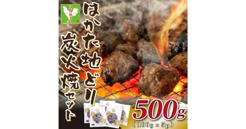 【ふるさと納税】はかた地どり炭火焼セット500g(100g×5p)(水巻町)【配送不可地域：離島】【1444181】