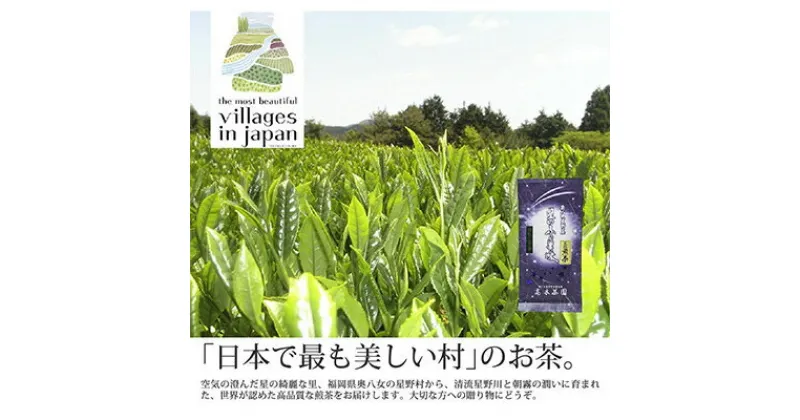 【ふるさと納税】【毎月定期便】奥八女星野村 深蒸し高級煎茶(深蒸し茶)100g×1袋(水巻町)全6回【4011474】