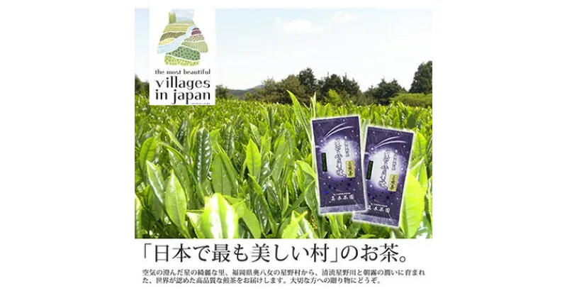 【ふるさと納税】【毎月定期便】奥八女星野村 深蒸し高級煎茶(深蒸し茶)100g×2袋(水巻町)全6回【4011475】