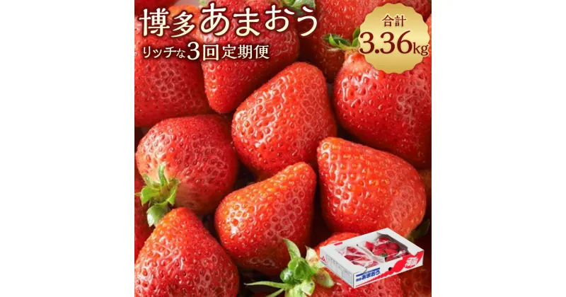 【ふるさと納税】【定期便】博多あまおう リッチな3回定期便 計3.36kg 計12パック あまおう いちご イチゴ 苺 果物 くだもの フルーツ 冷蔵 国産 九州 福岡県 岡垣町 送料無料【2024年12月上旬～2025年2月下旬発送予定】