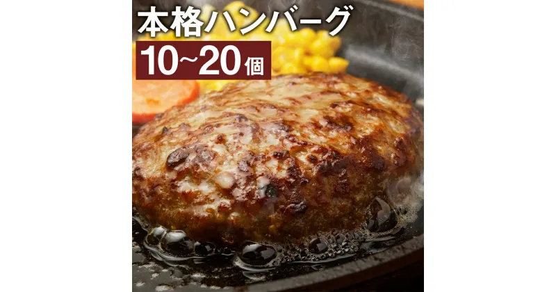 【ふるさと納税】本格ハンバーグ ＜選べる＞ 10個・20個 1個あたり120g 合計1.2～2.4kg 特製ソース付 レンジ対応 湯煎 ハンバーグ 温めるだけ 個包装 小分け 惣菜 おかず 冷凍 福岡県 岡垣町 送料無料