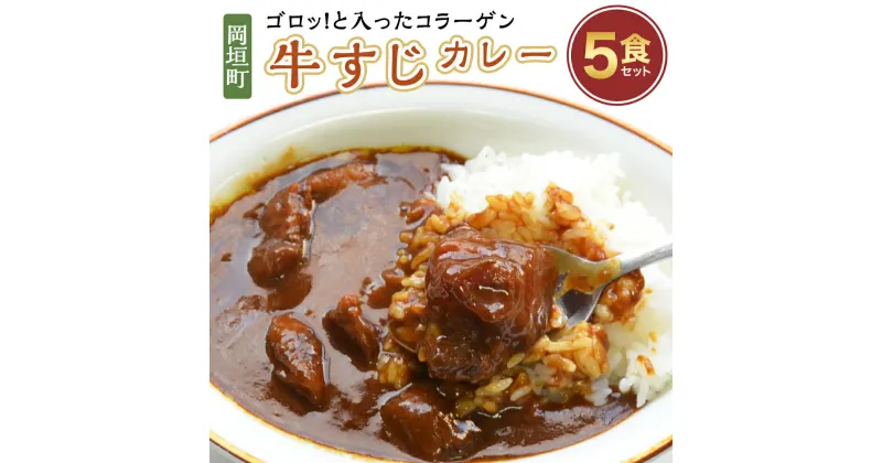 【ふるさと納税】ゴロッ!と入ったコラーゲン牛すじカレー5食セット 200g×5食 合計1kg 国産和牛 牛スジ 牛肉 肉 カレー 中辛 コラーゲン レトルト 福岡県 岡垣町 送料無料