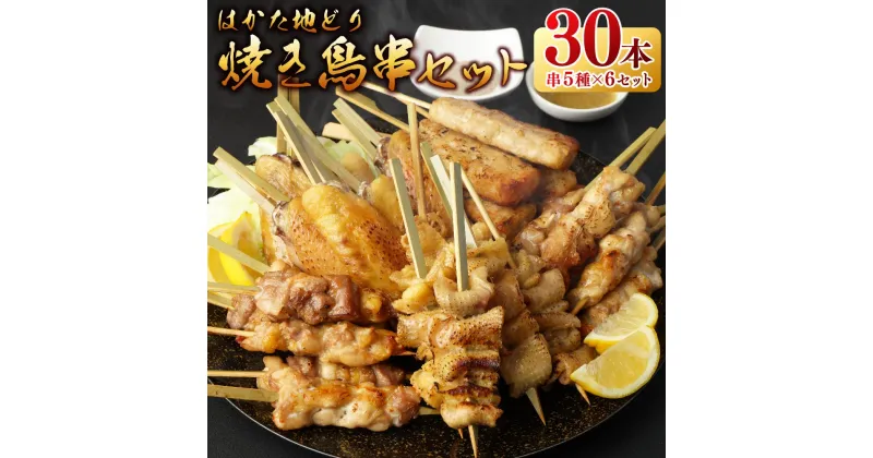 【ふるさと納税】 焼き鳥串セット 【FYL】 / 博多大丸 はかた地どり 合計30本 5種×6セット 焼き鳥 やきとり 串 セット 鶏肉 もも つくね 肩 手羽 皮 惣菜 おかず 冷凍 福岡県 岡垣町 送料無料