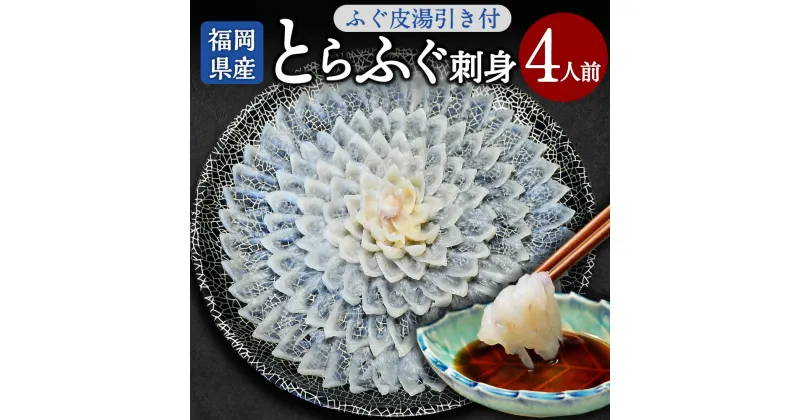 【ふるさと納税】 とらふぐ刺身 菊盛り 一尺大皿30cm ふぐ皮湯引き付 4人前 ふぐ 本ふぐ ふぐ刺し てっさ とらふぐ皮 ポン酢 もみじおろし 国産 九州産 高級 贈り物 贈答用 ギフト 福岡県 岡垣町 冷凍 送料無料