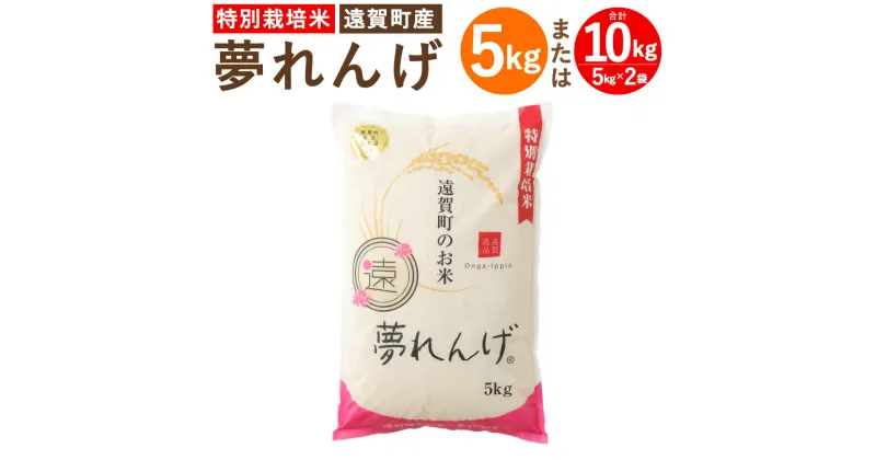 【ふるさと納税】【令和6年産】特別栽培米 夢れんげ 〈選べる〉 5kg または 10kg 1袋あたり5kg 1袋 2袋 夢つくし 元気つくし 精米 白米 お米 米 ごはん ご飯 福岡 遠賀町産 九州産 国産 送料無料【2024年10月下旬発送開始】