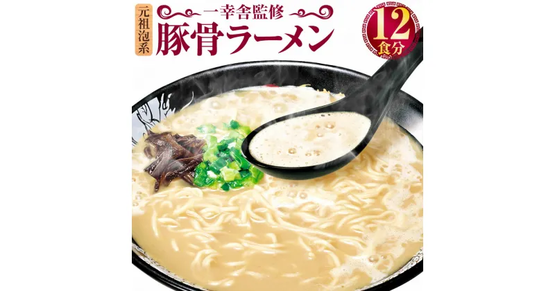 【ふるさと納税】元祖泡系 一幸舎監修 豚骨ラーメン 12食分 麺 ラーメン 拉麺 即席麺 即席めん カップラーメン カップ麺 博多 一幸舎 とんこつ トンコツ 細麺 博多ラーメン 九州 福岡県 送料無料