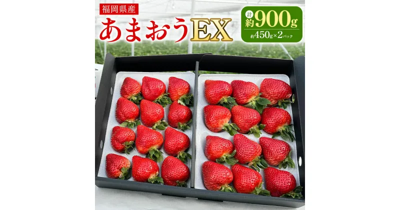 【ふるさと納税】ギフト配送 福岡県産あまおう EX 約450g×2パック〈特別栽培〉 あまおう いちご イチゴ 苺 フルーツ 果物 国産 九州産 福岡県 冷蔵 ブランド エコファーマー認定農家 GAP認定 送料無料 【2025年1月上旬～3月下旬発送予定】