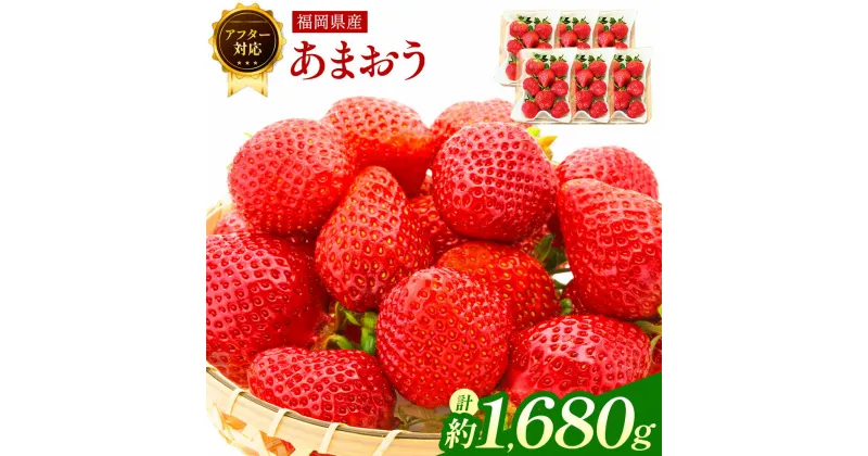 【ふるさと納税】【アフター対応】あまおう 約280g×6パック あまおう いちご イチゴ 苺 フルーツ 果物 国産 九州産 春 旬 福岡県 福岡県産 冷蔵 ブランド エコファーマー認定農家 GAP認定 送料無料 【2025年1月上旬～3月下旬発送予定】