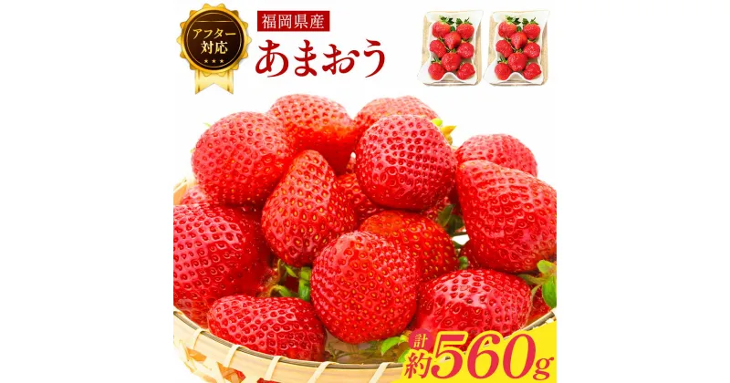 【ふるさと納税】【アフター対応】あまおう 約280g×2パック あまおう いちご イチゴ 苺 フルーツ 果物 国産 九州産 春 旬 福岡県 福岡県産 冷蔵 ブランド エコファーマー認定農家 GAP認定 送料無料 【2025年1月上旬～3月下旬発送予定】